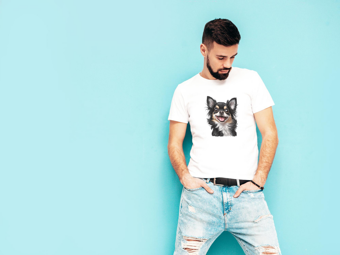 Loyal Companions - Chihuahua